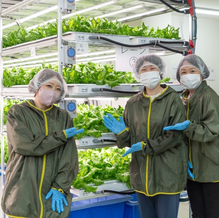 水耕栽培と利用者