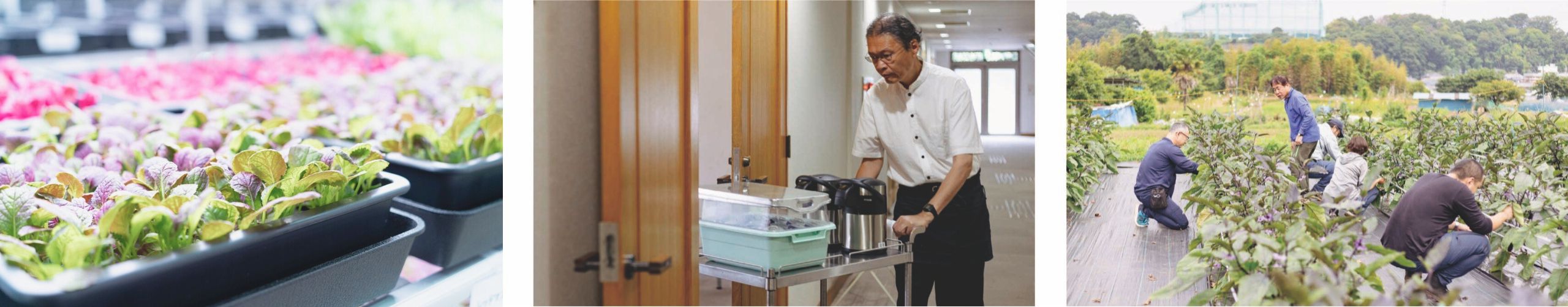 アイワークスの訓練風景、農作業風景