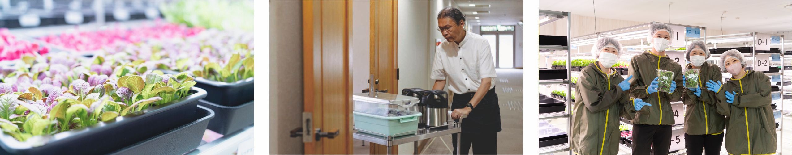 アイワークスの訓練風景、農作業風景